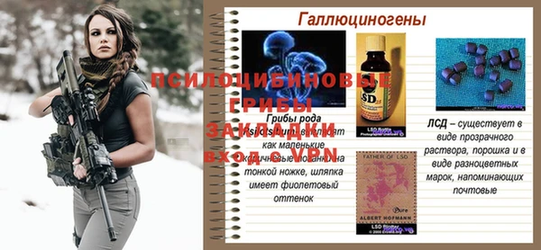 эйфоретик Осинники