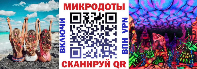 Галлюциногенные грибы мицелий  Камбарка 